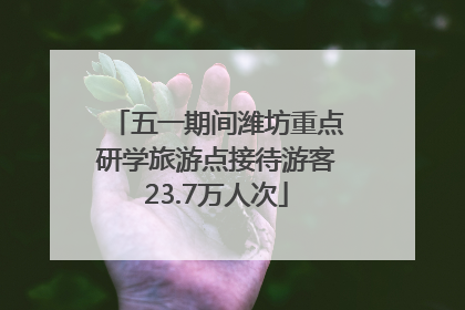 五一期间潍坊重点研学旅游点接待游客23.7万人次