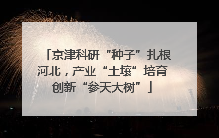 京津科研“种子”扎根河北，产业“土壤”培育创新“参天大树”