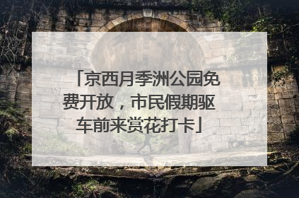京西月季洲公园免费开放，市民假期驱车前来赏花打卡