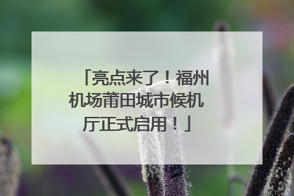 亮点来了！福州机场莆田城市候机厅正式启用！
