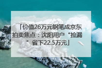 价值26万元钢笔成京东拍卖焦点：沈阳用户“捡漏”省下22.5万元