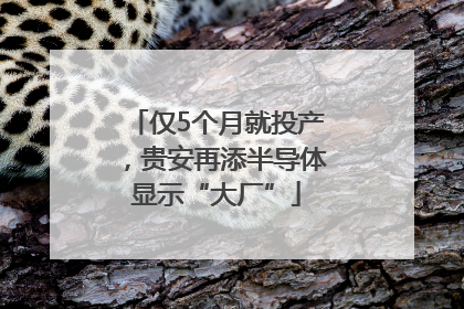 仅5个月就投产，贵安再添半导体显示“大厂”