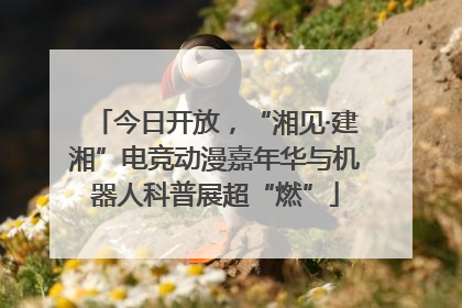 今日开放，“湘见·建湘”电竞动漫嘉年华与机器人科普展超“燃”