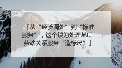 从“经验调处”到“标准服务”，这个镇为处理基层劳动关系服务“造标尺”
