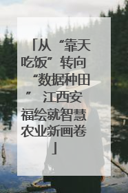 从“靠天吃饭”转向“数据种田” 江西安福绘就智慧农业新画卷