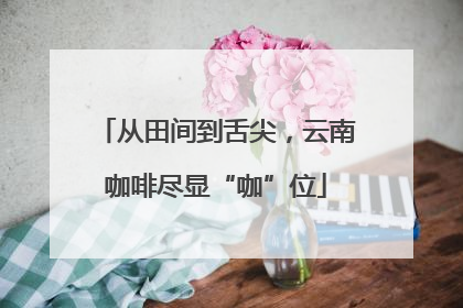 从田间到舌尖，云南咖啡尽显“咖”位