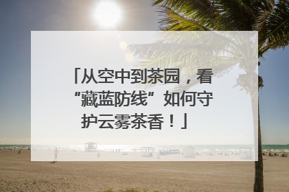 从空中到茶园，看“藏蓝防线”如何守护云雾茶香！
