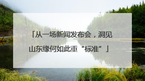 从一场新闻发布会，洞见山东缘何如此重“标准”