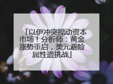 以伊冲突搅动资本市场！分析师：黄金涨势重启，美元避险属性遭挑战
