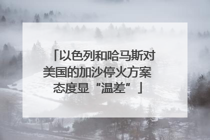 以色列和哈马斯对美国的加沙停火方案态度显“温差”