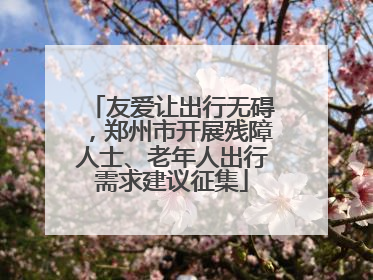 友爱让出行无碍，郑州市开展残障人士、老年人出行需求建议征集