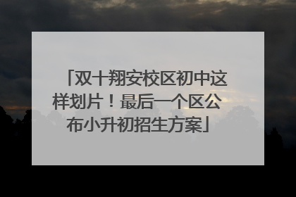双十翔安校区初中这样划片！最后一个区公布小升初招生方案