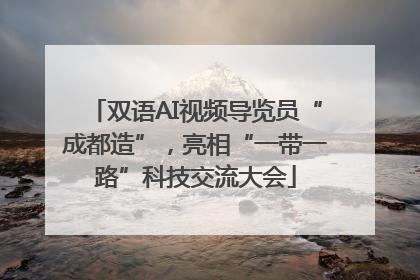 双语AI视频导览员“成都造”，亮相“一带一路”科技交流大会