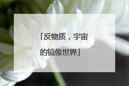 反物质，宇宙的镜像世界