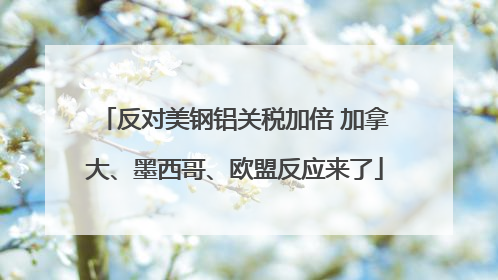 反对美钢铝关税加倍 加拿大、墨西哥、欧盟反应来了