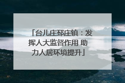 台儿庄邳庄镇：发挥人大监督作用 助力人居环境提升