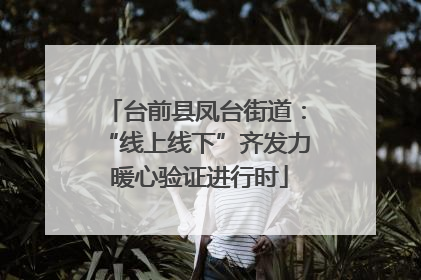 台前县凤台街道：“线上线下”齐发力 暖心验证进行时