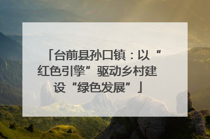 台前县孙口镇：以“红色引擎”驱动乡村建设“绿色发展”