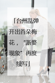 台州乱弹开出首朵梅花，“浙婺现象”再度续写