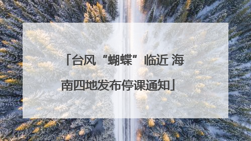台风“蝴蝶”临近 海南四地发布停课通知