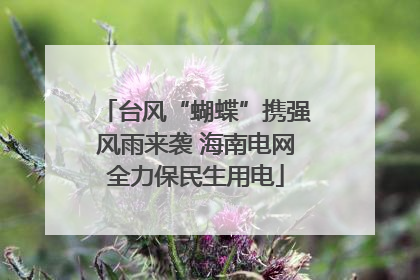 台风“蝴蝶”携强风雨来袭 海南电网全力保民生用电