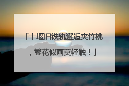 十堰旧铁轨邂逅夹竹桃，繁花似画莫轻触！
