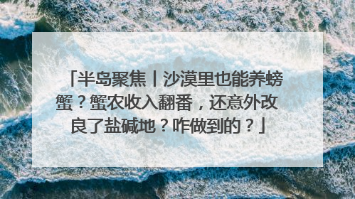 半岛聚焦丨沙漠里也能养螃蟹？蟹农收入翻番，还意外改良了盐碱地？咋做到的？