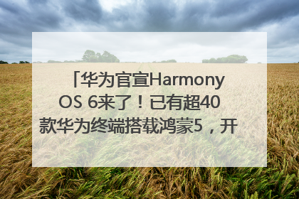 华为官宣HarmonyOS 6来了！已有超40款华为终端搭载鸿蒙5，开发者突破800万