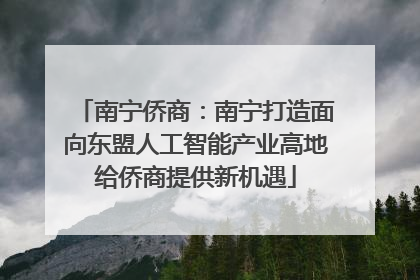 南宁侨商：南宁打造面向东盟人工智能产业高地给侨商提供新机遇