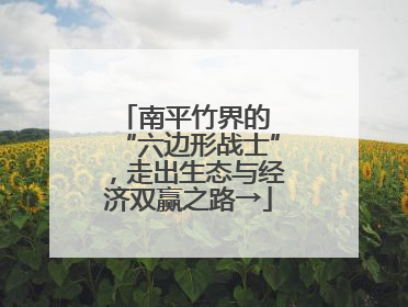 南平竹界的 “六边形战士”，走出生态与经济双赢之路→