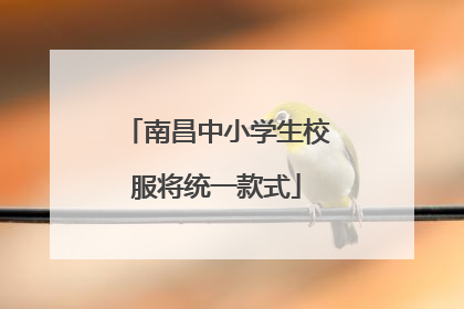 南昌中小学生校服将统一款式