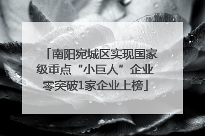 南阳宛城区实现国家级重点“小巨人”企业零突破1家企业上榜