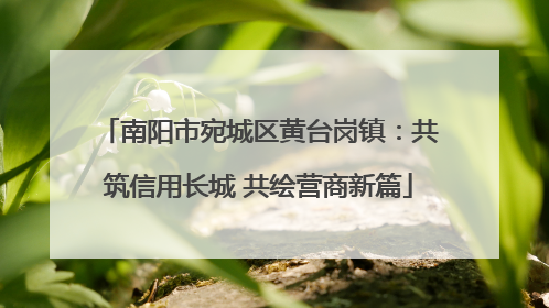 南阳市宛城区黄台岗镇：共筑信用长城 共绘营商新篇