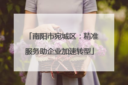 南阳市宛城区：精准服务助企业加速转型