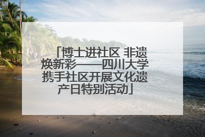博士进社区 非遗焕新彩——四川大学携手社区开展文化遗产日特别活动