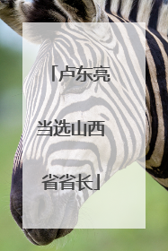 卢东亮当选山西省省长