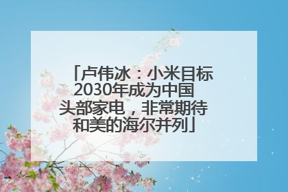 卢伟冰：小米目标2030年成为中国头部家电，非常期待和美的海尔并列