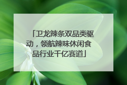 卫龙辣条双品类驱动，领航辣味休闲食品行业千亿赛道