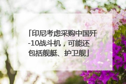印尼考虑采购中国歼-10战斗机，可能还包括舰艇、护卫舰