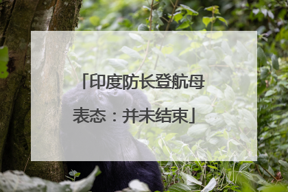 印度防长登航母表态：并未结束