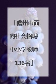 儋州市面向社会招聘中小学教师136名