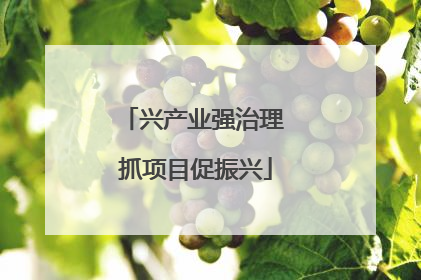 兴产业强治理 抓项目促振兴