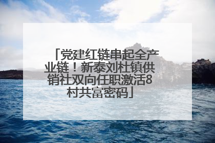 党建红链串起全产业链！新泰刘杜镇供销社双向任职激活8村共富密码