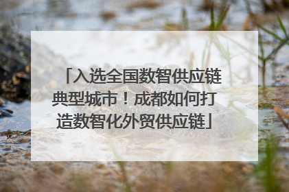 入选全国数智供应链典型城市！成都如何打造数智化外贸供应链