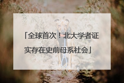 全球首次！北大学者证实存在史前母系社会
