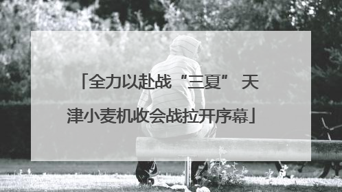 全力以赴战“三夏” 天津小麦机收会战拉开序幕