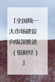 全国统一大市场建设向纵深推进（锐财经）