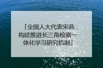 全国人大代表宋燕：构建推进长三角检察一体化学习研究机制