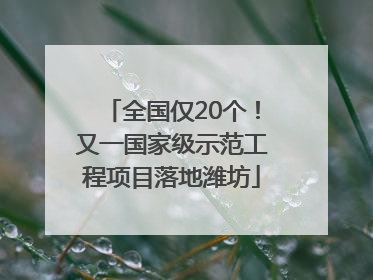 全国仅20个！又一国家级示范工程项目落地潍坊