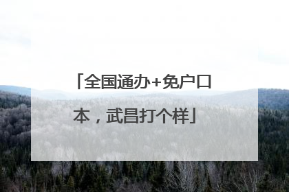 全国通办+免户口本，武昌打个样